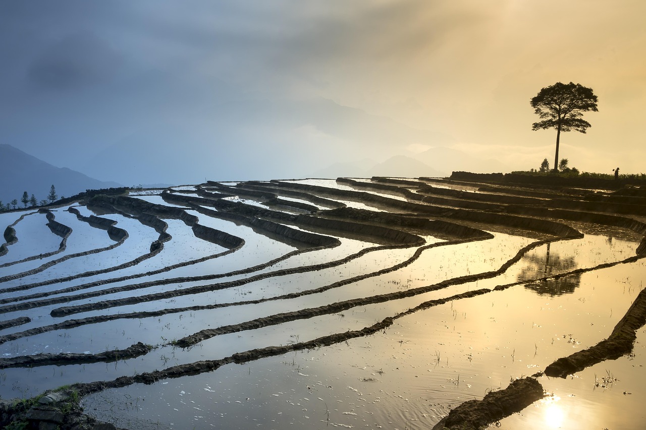 新鄉(xiāng)鳳泉湖最新進(jìn)展揭秘，生態(tài)城市壯麗序幕正式拉開！