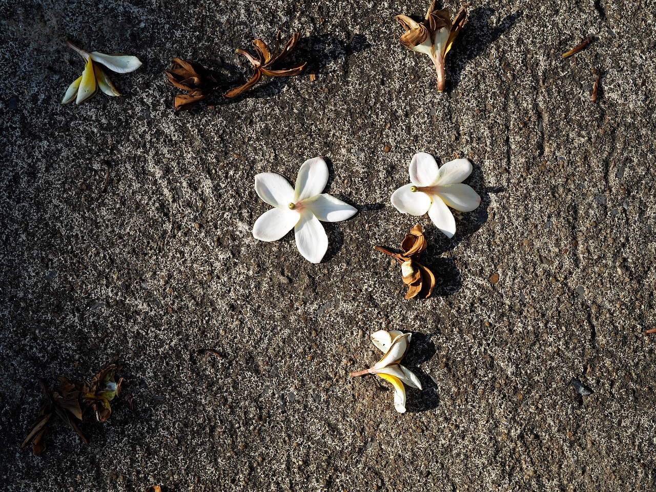 洪澤湖采砂最新動(dòng)態(tài)更新，最新采砂消息揭秘