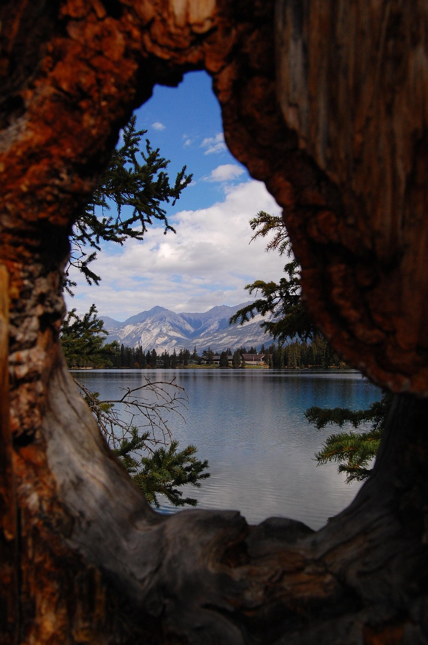 馬蓉最新動態(tài)與反思，風波中心的最新消息聚焦點