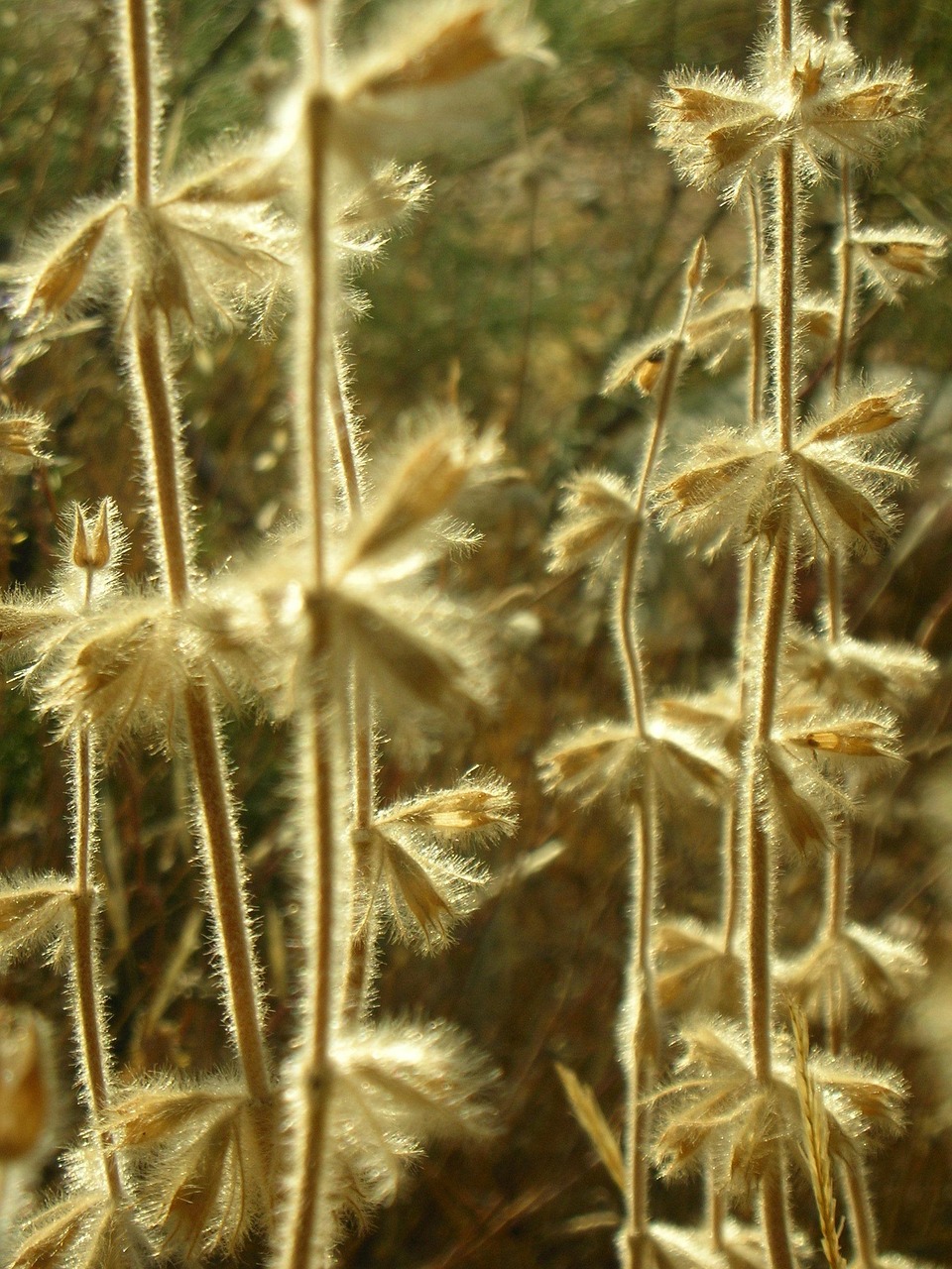 今日陽光M1最新動態(tài)，開啟電動智能出行新篇章