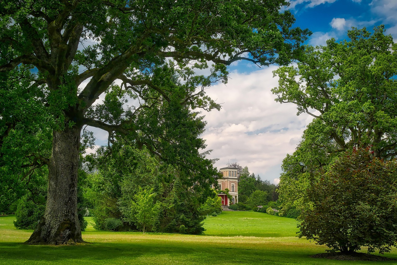 愛濤尚書云邸最新動態(tài)揭秘，城市繁華生活新篇章
