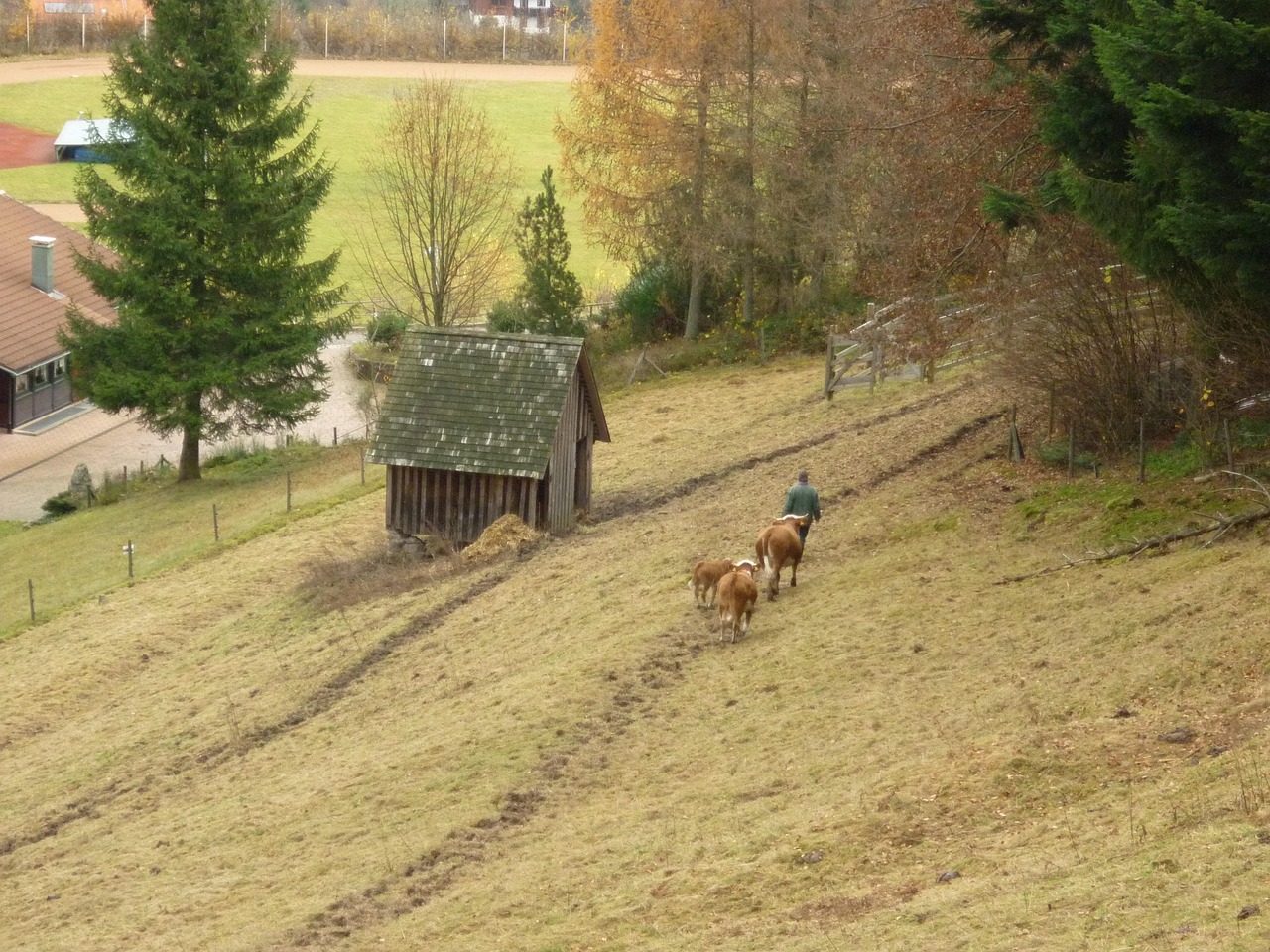 QQ農(nóng)牧場(chǎng)偷匪最新版，開(kāi)啟游戲樂(lè)趣與挑戰(zhàn)的新篇章