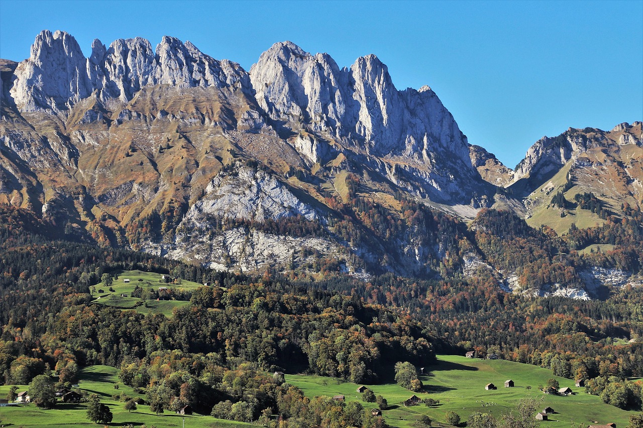 灃西新城資村發(fā)展最新動態(tài)，脈絡、展望與未來趨勢