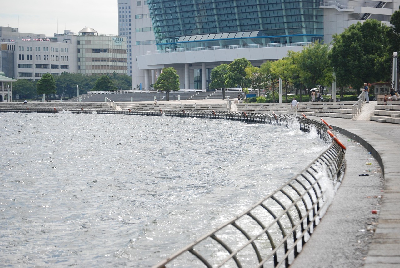 鄭州海昌海洋公園最新動(dòng)態(tài)揭秘，揭開神秘面紗，展現(xiàn)海洋魅力奇觀