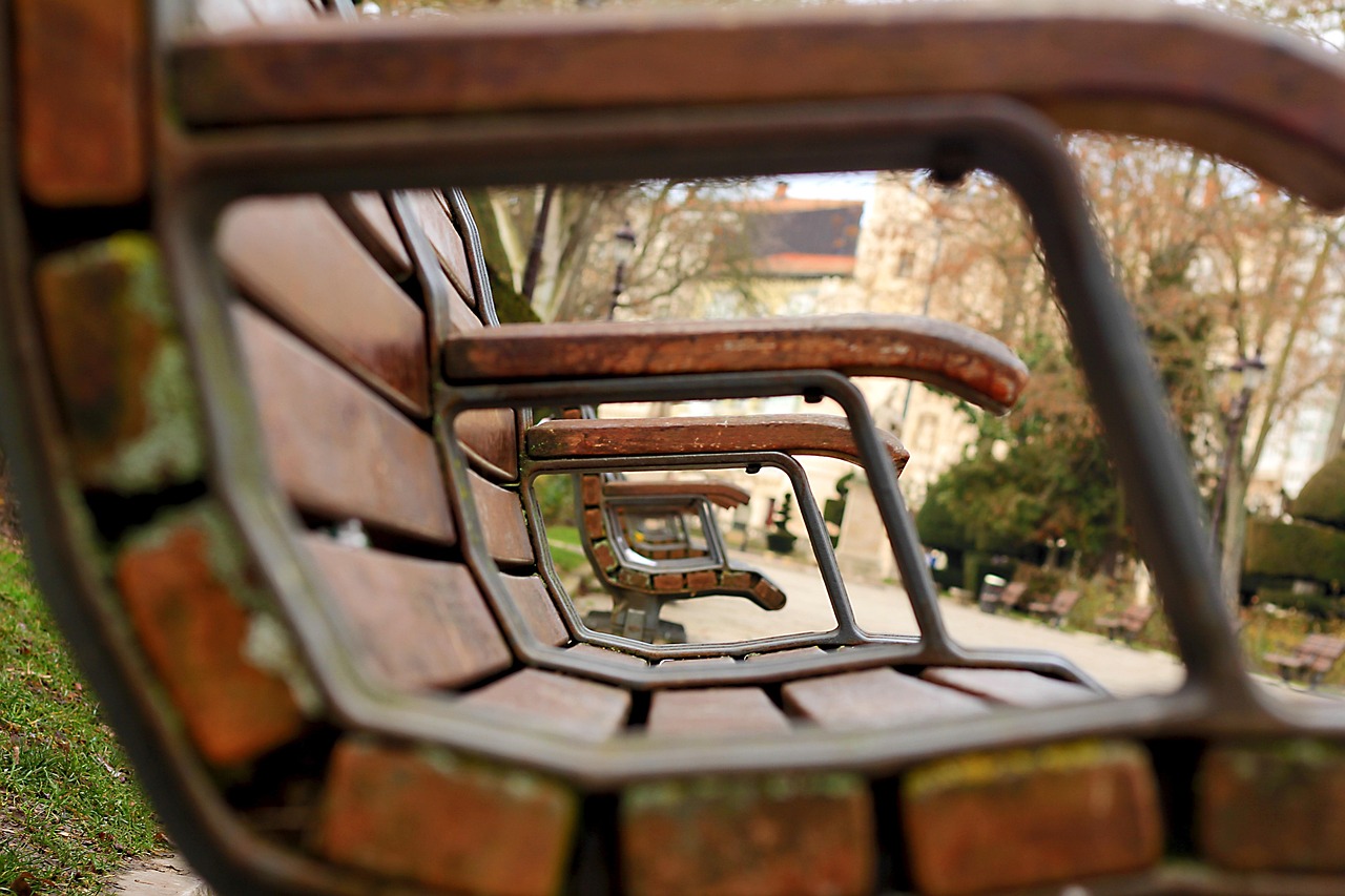 攀枝花新聞網(wǎng)，城市發(fā)展與民生動態(tài)的最新窗口