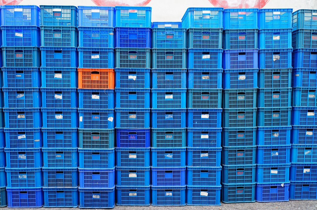 平頂山單知偉，城市發(fā)展的見證者與創(chuàng)新引領(lǐng)者的最新動(dòng)態(tài)