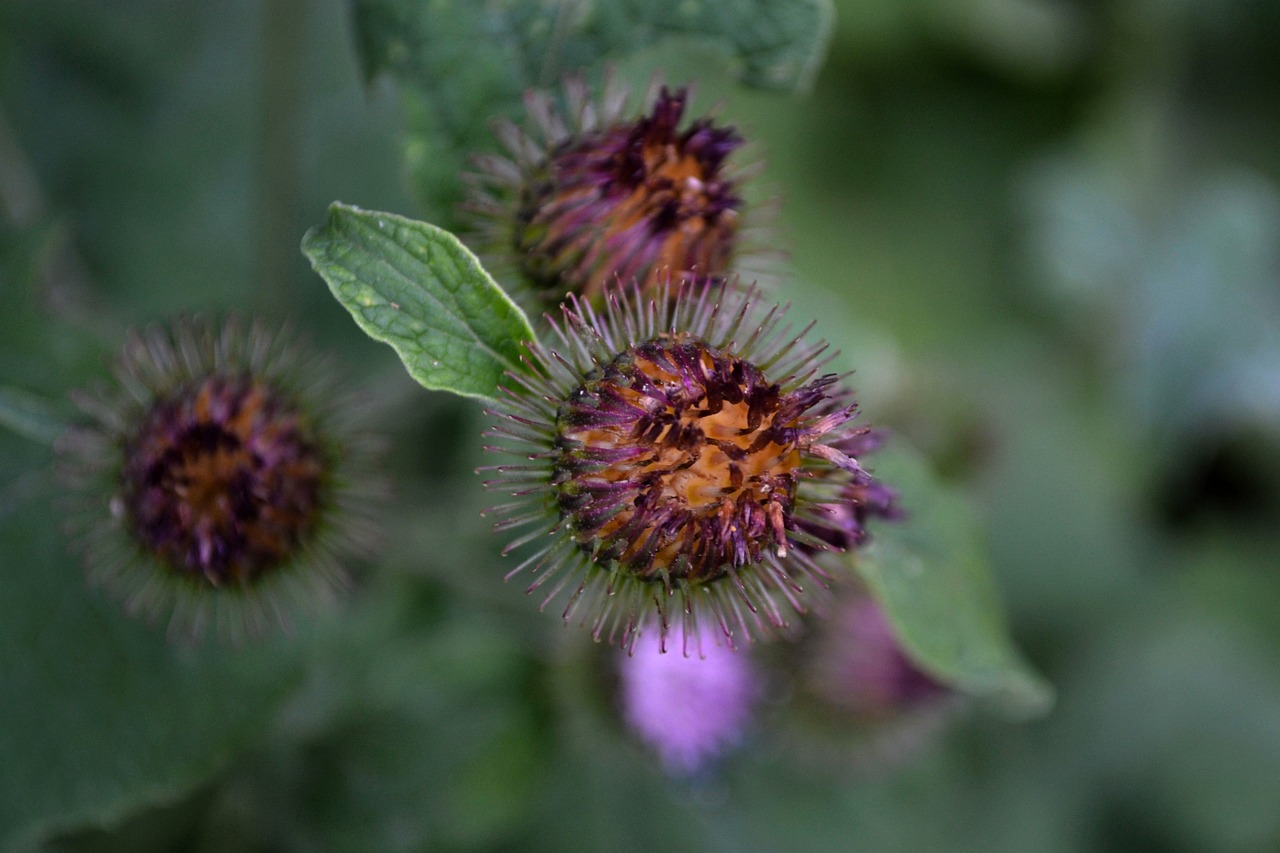 蕪湖市三山區(qū)最新招聘信息概覽，最新職位與招聘動(dòng)態(tài)全解析