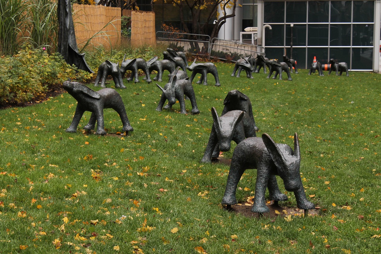 安湯一體化最新動態(tài)，引領(lǐng)城市發(fā)展的新浪潮