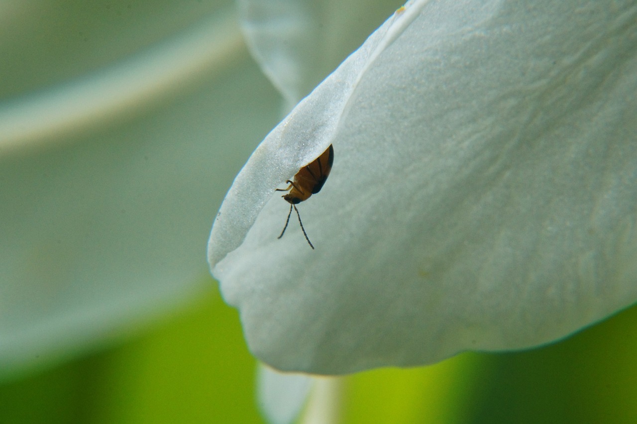 濟南地鐵R2線最新進展報告更新，最新動態(tài)揭秘！