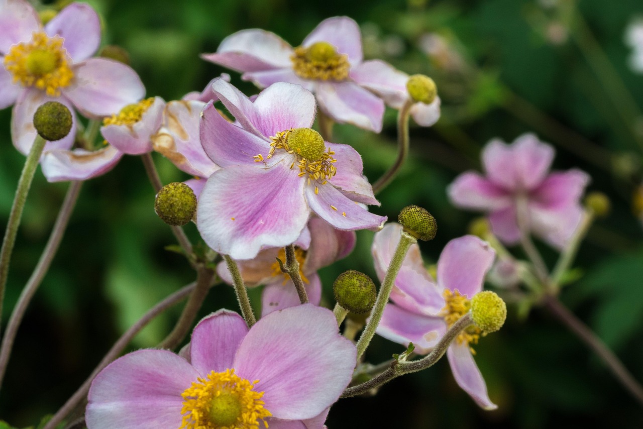 馬刺最新動態(tài)，持續(xù)進化，蓄勢待發(fā)啟航新征程