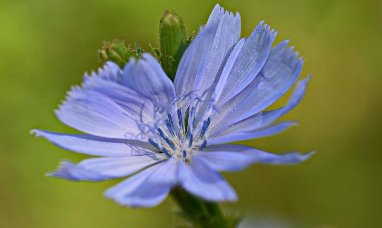 應(yīng)用案例 第32頁(yè)