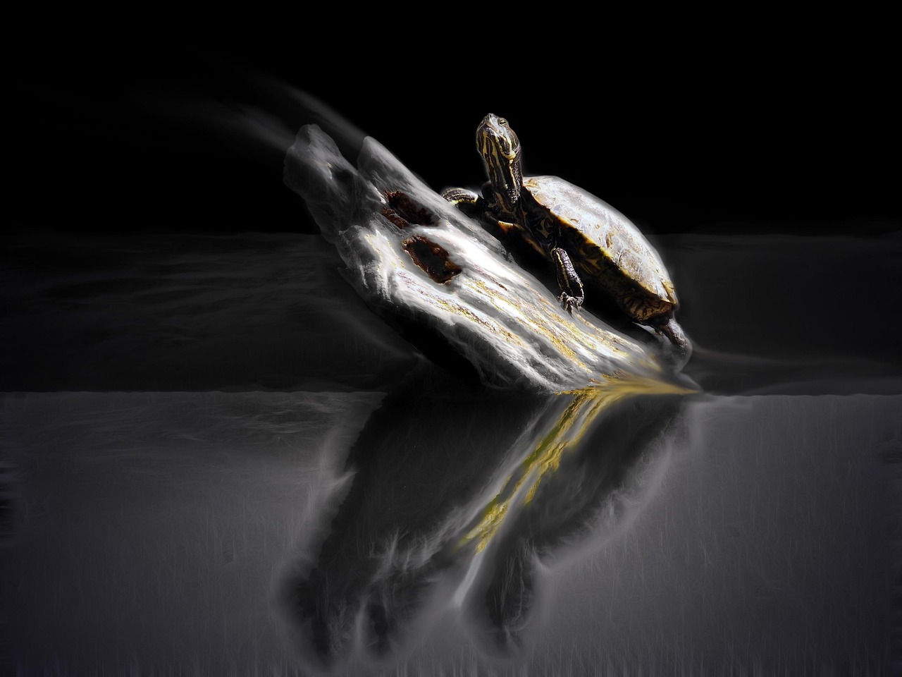 最新國(guó)產(chǎn)鬼片，恐怖與神秘的邊緣探索