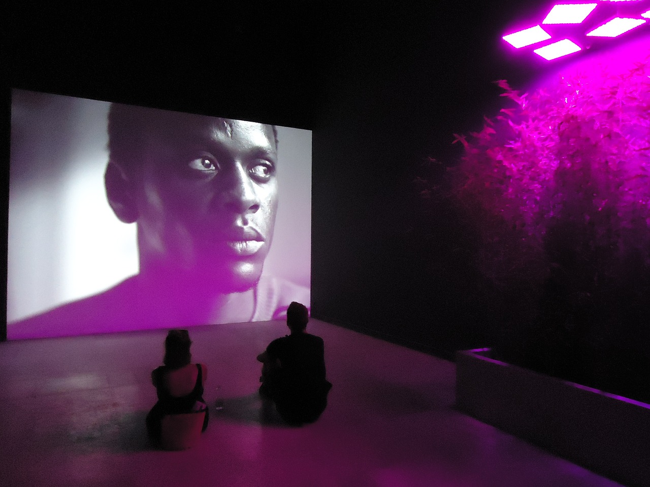 最新首映網(wǎng)，引領(lǐng)觀影潮流，打造電影愛(ài)好者首選平臺(tái)