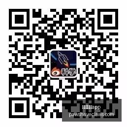 篮球战报,鹈鹕大胜国,锡安制霸爵,足球博彩app官网,足球博彩app下载,足球博彩app登录,足球博彩app平台