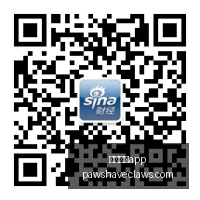 宝可梦终极,通行证,日上线,足球博彩app官网,足球博彩app下载,足球博彩app登录,足球博彩app平台